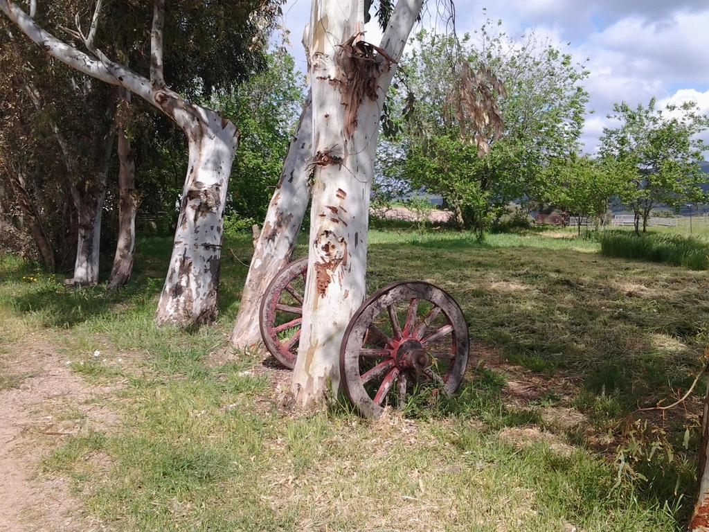 Agriturismo Spinalva Perfugas Eksteriør bilde